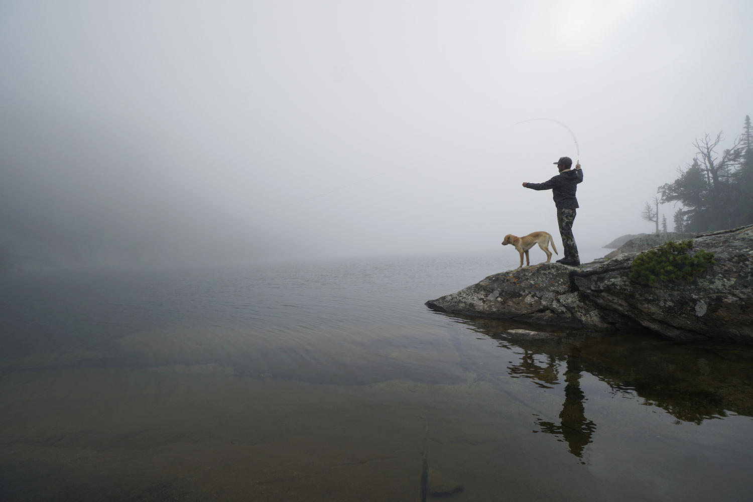 misty fishing scene with dog