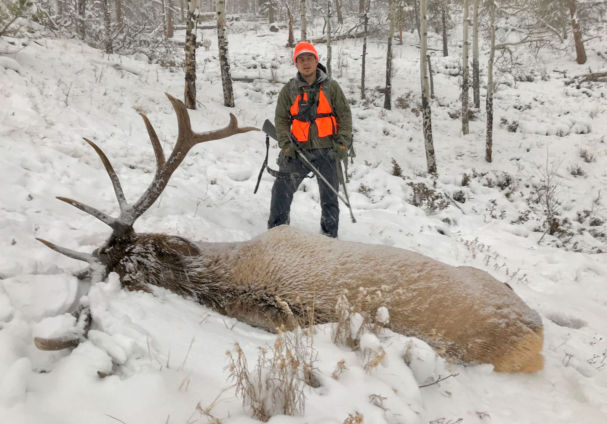 elk rifle and bull