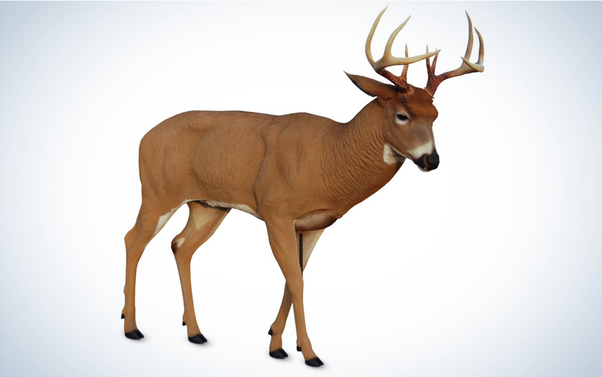 The Dave Smith Posturing Buck Decoy is the most realistic.