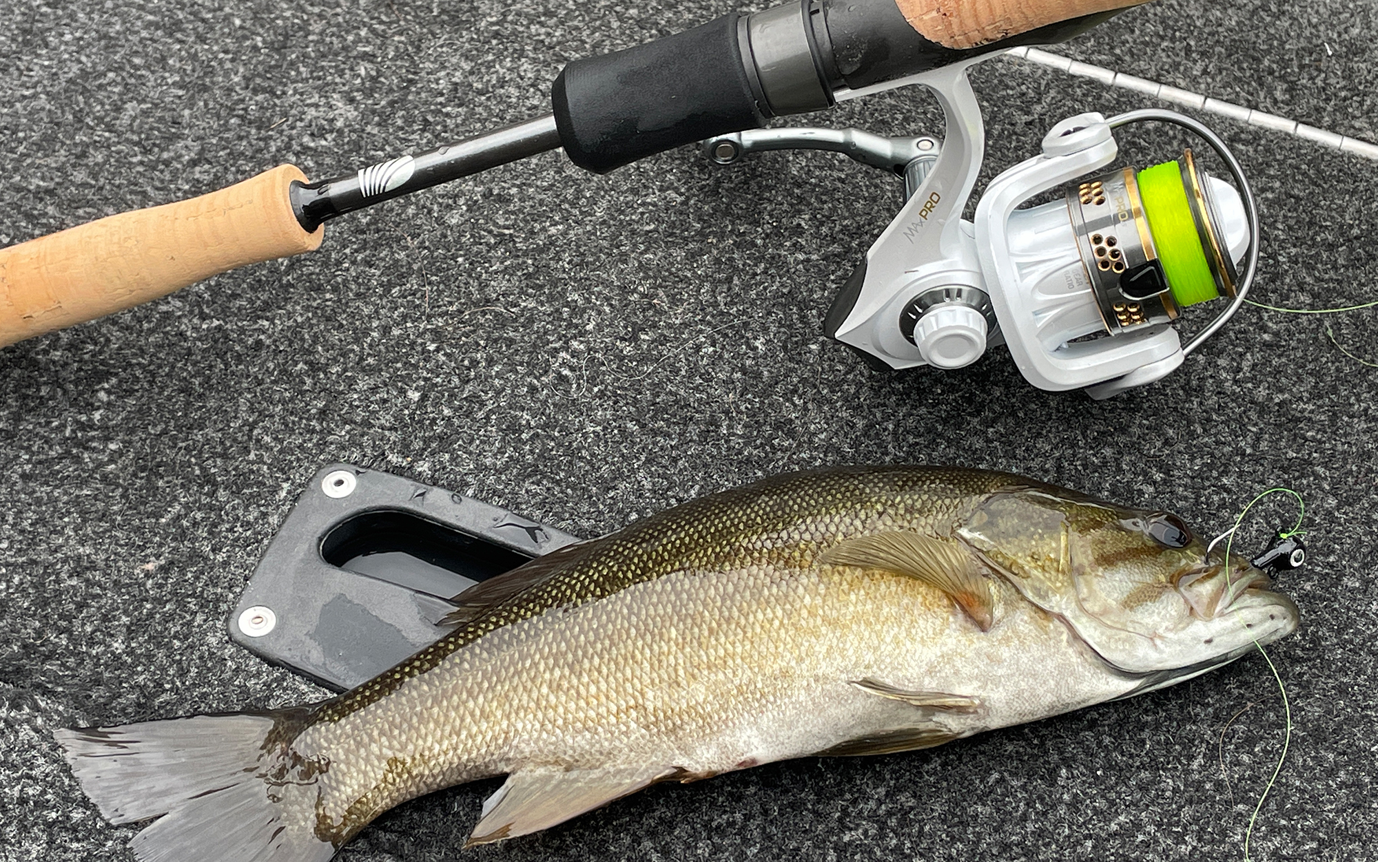 The author caught a host of species while testing the MaxPro including this smallmouth bass.