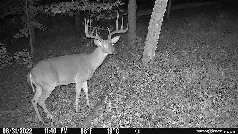 Deer Hunting Gear photo