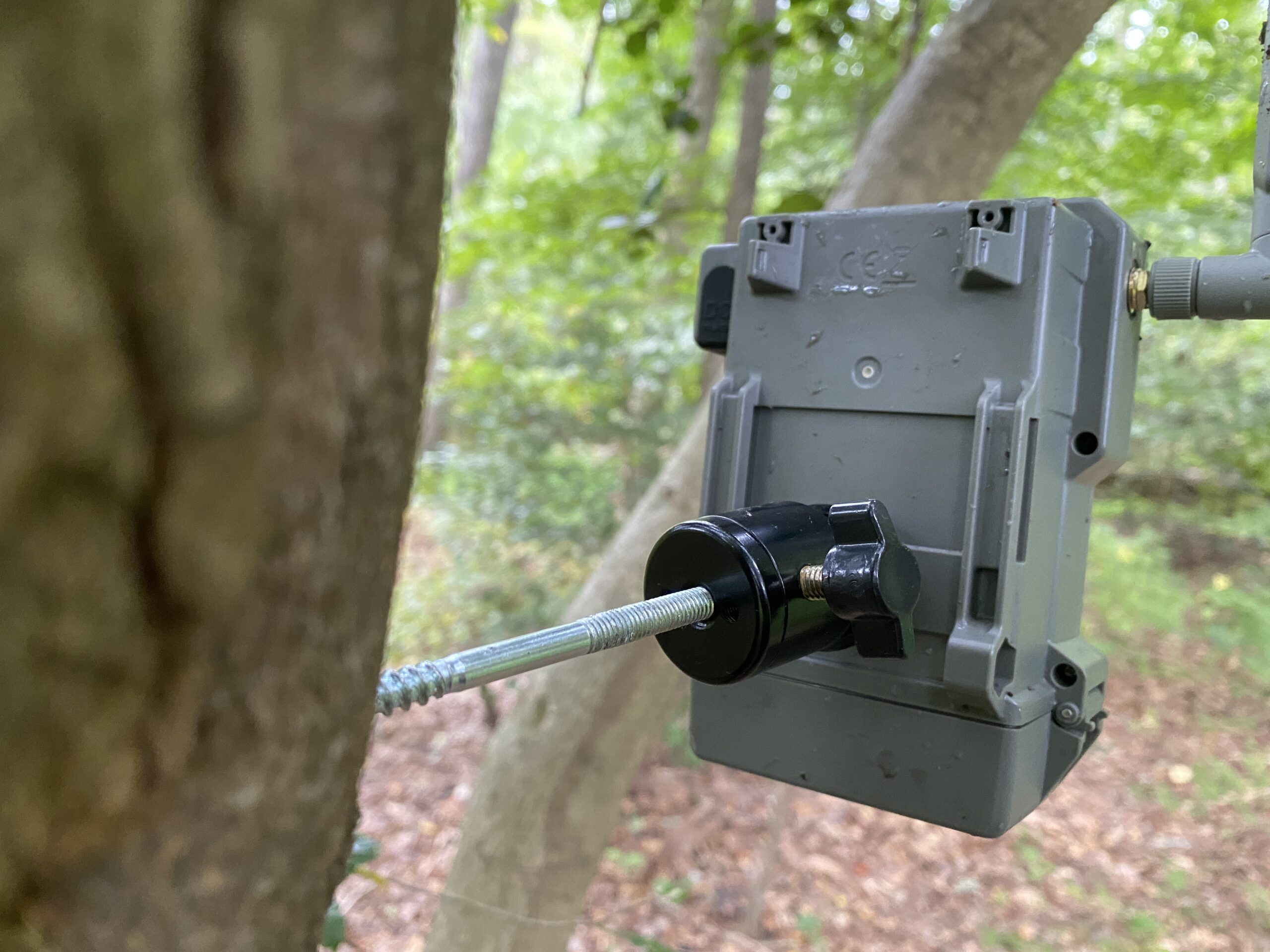 The SpyPoint Flex mounted to a tree