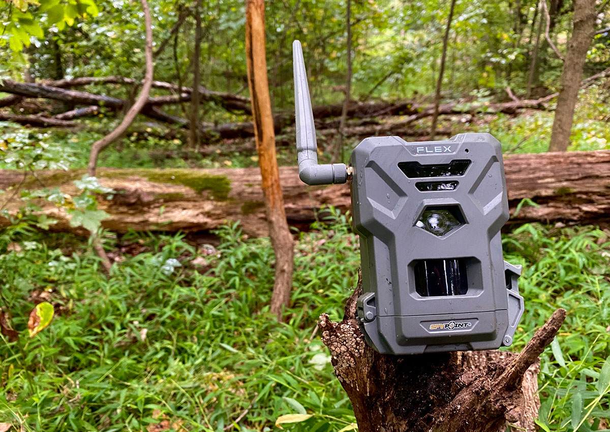 SpyPoint Flex Review: A Reliable, Mid-Priced Cellular Trail Camera