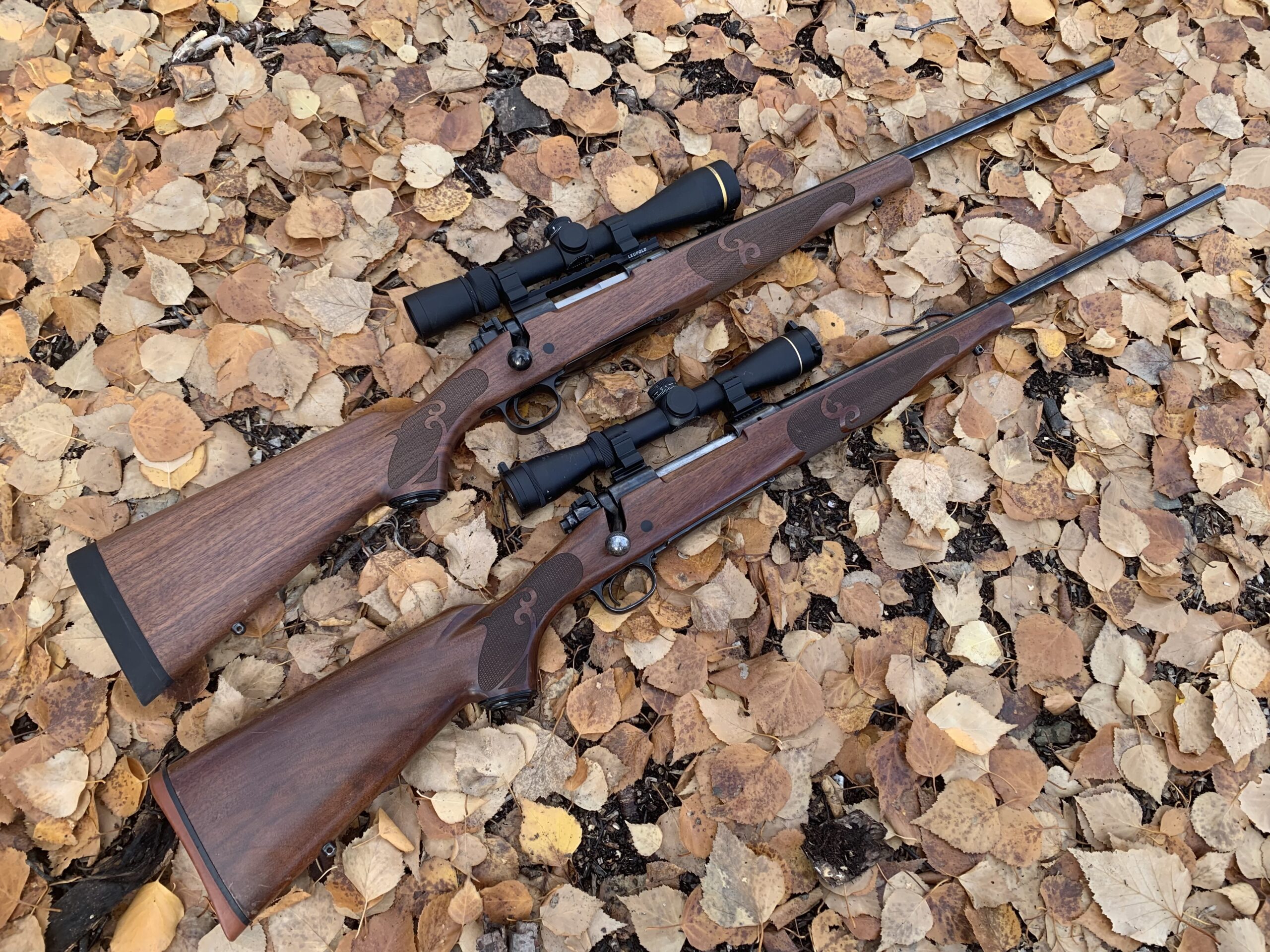 Current and 1982 production Winchester Model 70 Featherweights