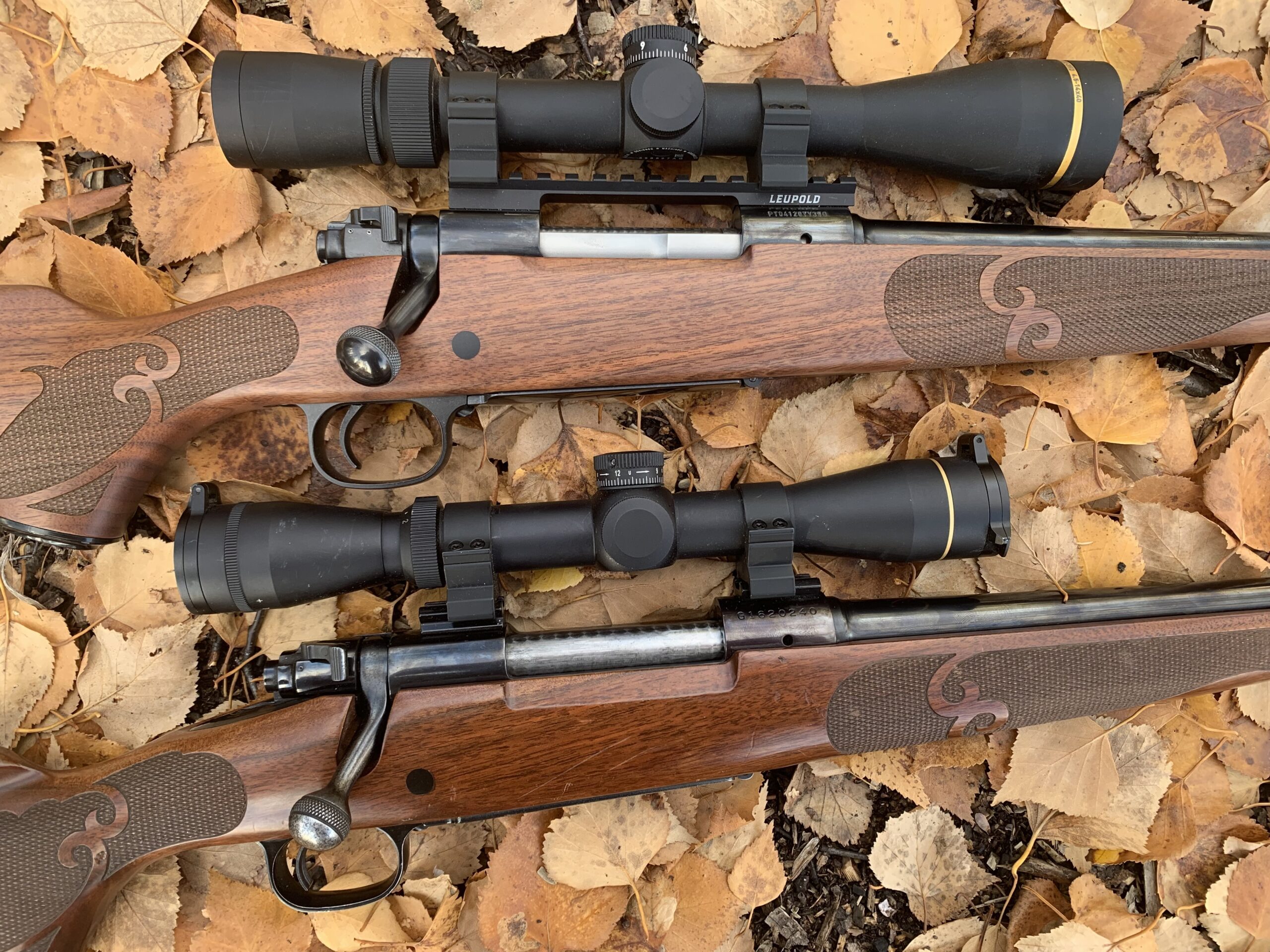 Current and 1982 production M70 Featherweights