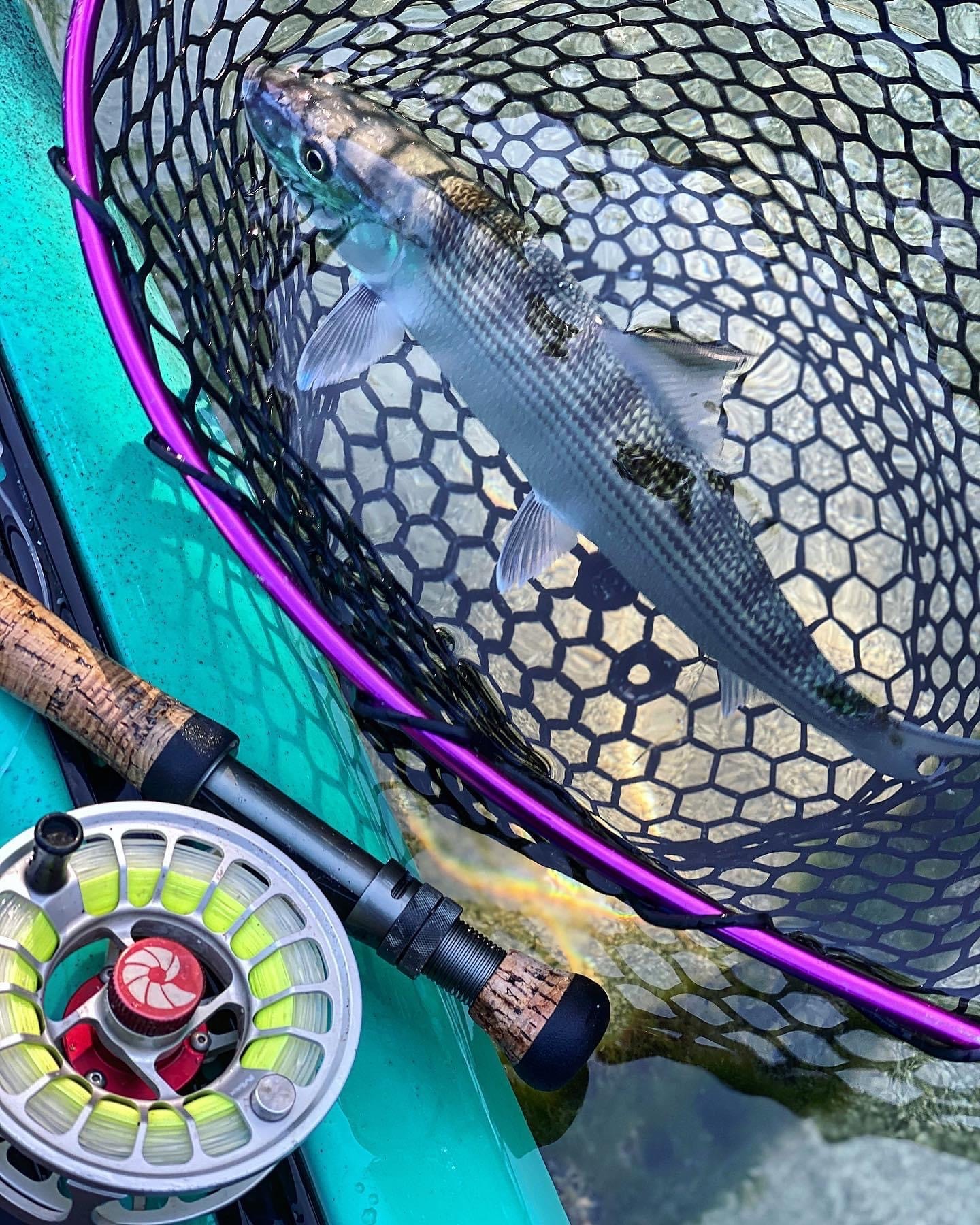 Author saltwater fly fishing with Nautilus X.