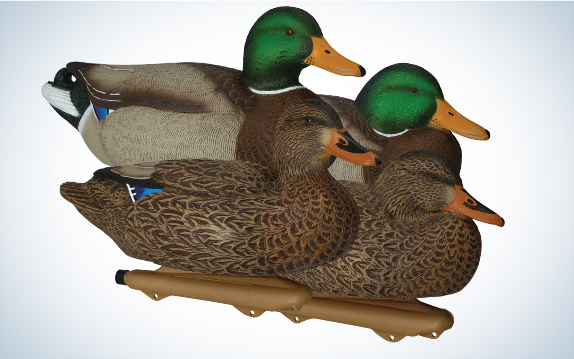 The Cabela’s Northern Flight Over-Sized Mallard are the best for the money.