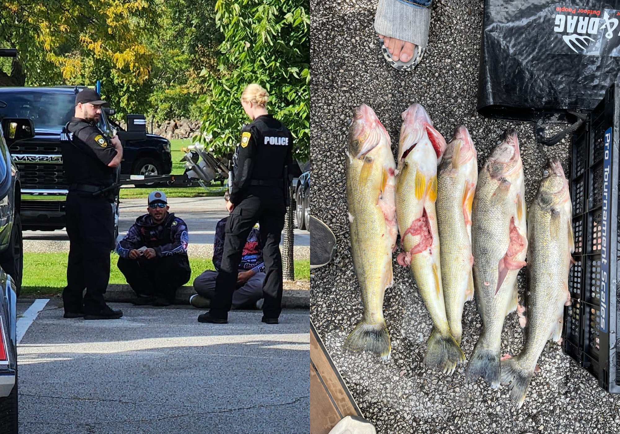 Walleye anglers caught cheating in tournament
