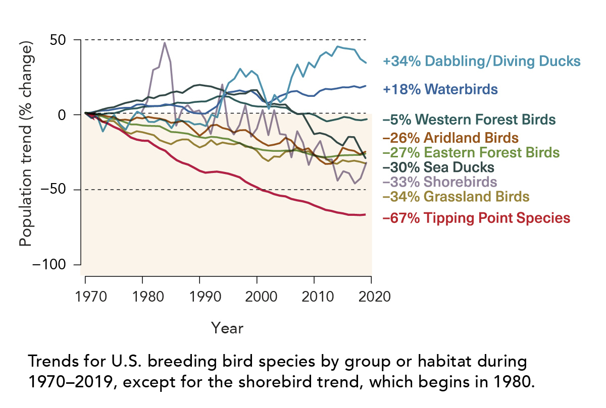 2022 state of the birds graph