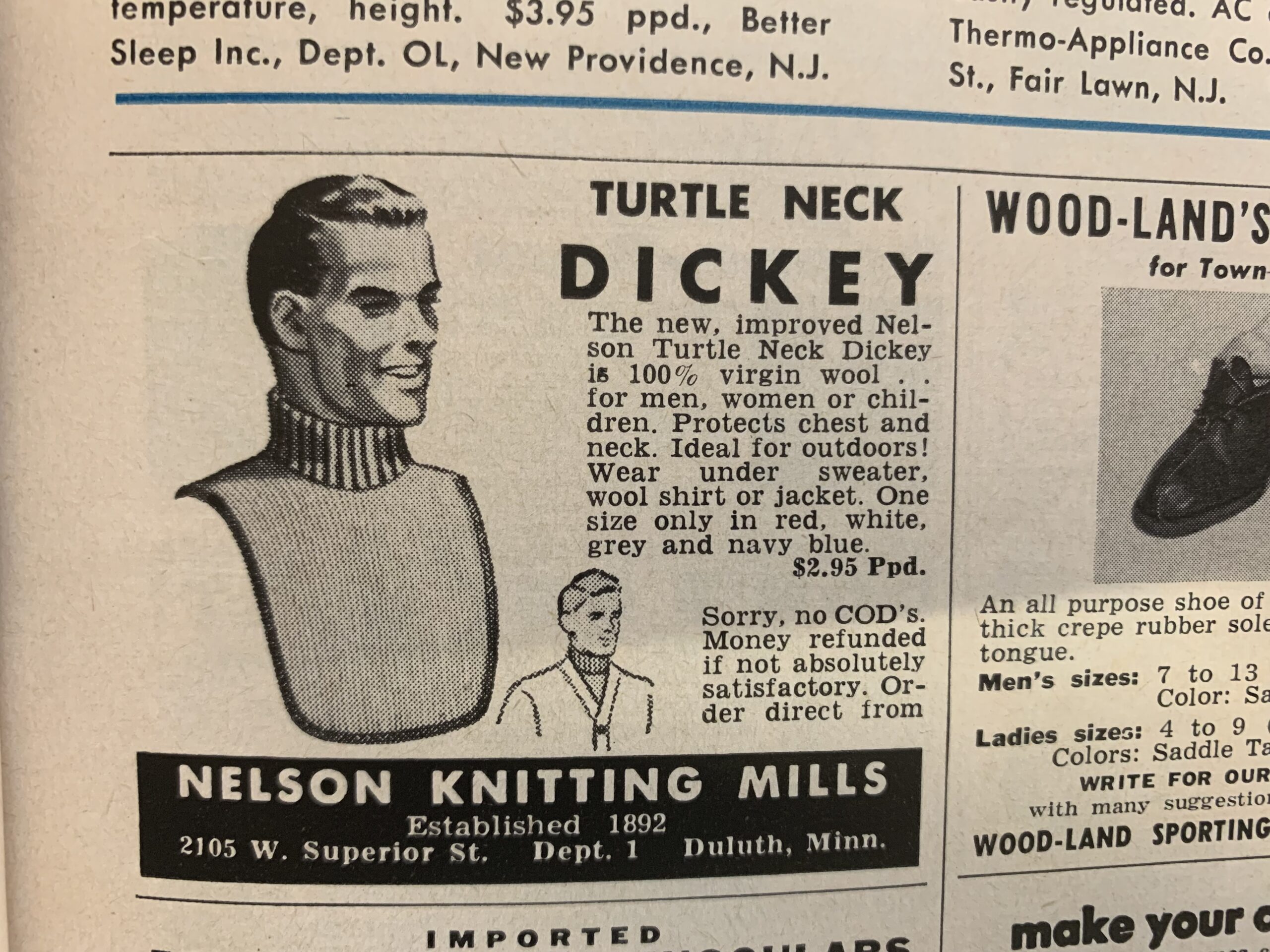 The turtleneck dickey