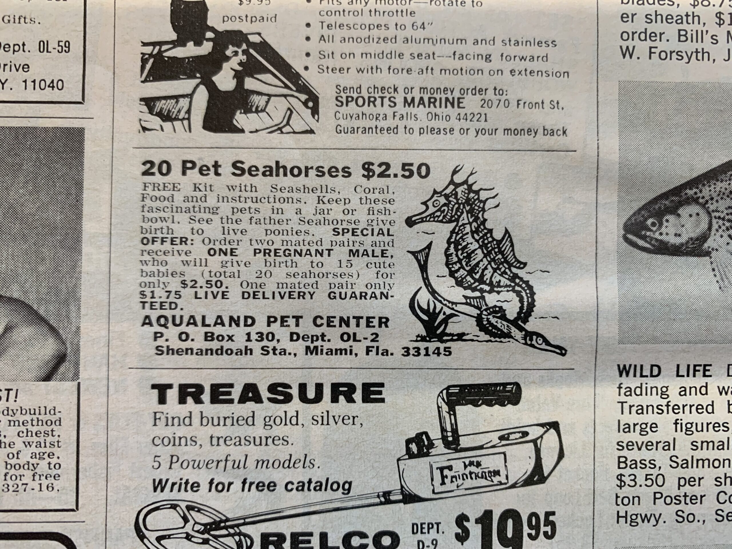 Live seahorses for sale in vintage OL ad