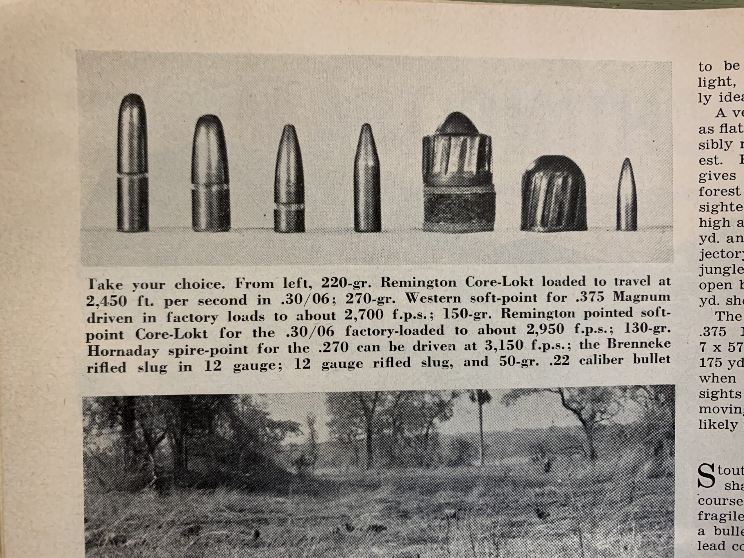 O'Connor's brush rifle projectiles