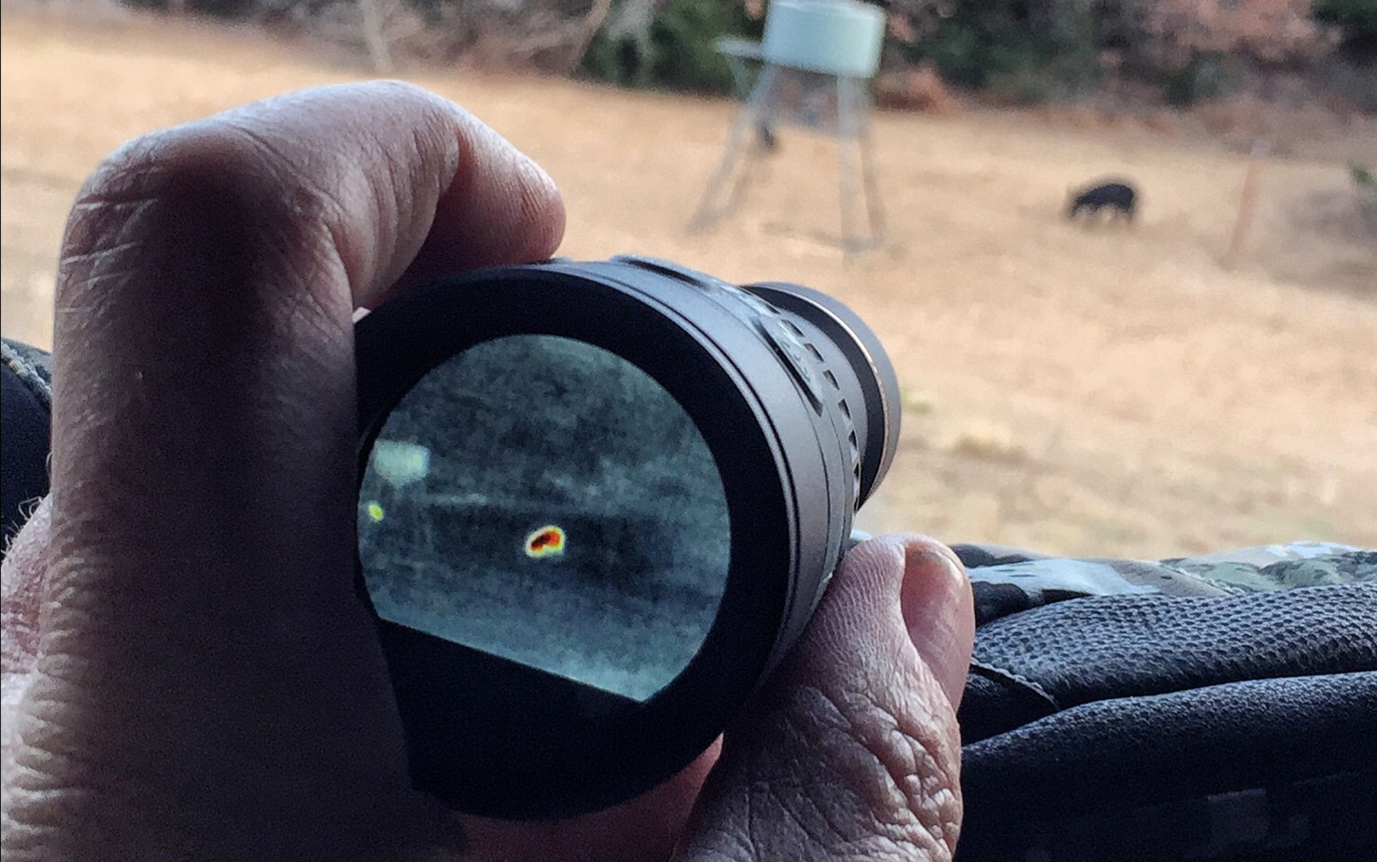 A hunter spotting a hog through a thermal scope.