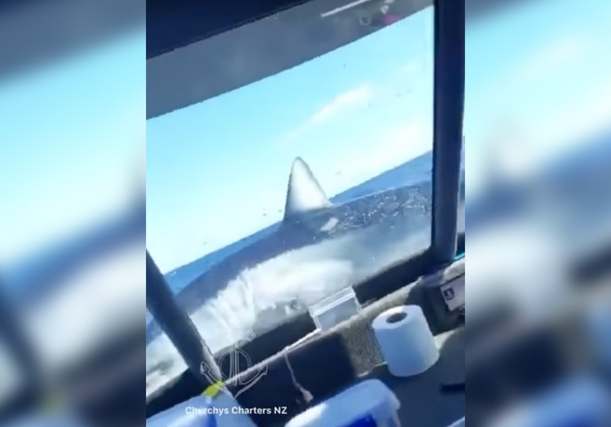 Mako shark jumps in fishing boat