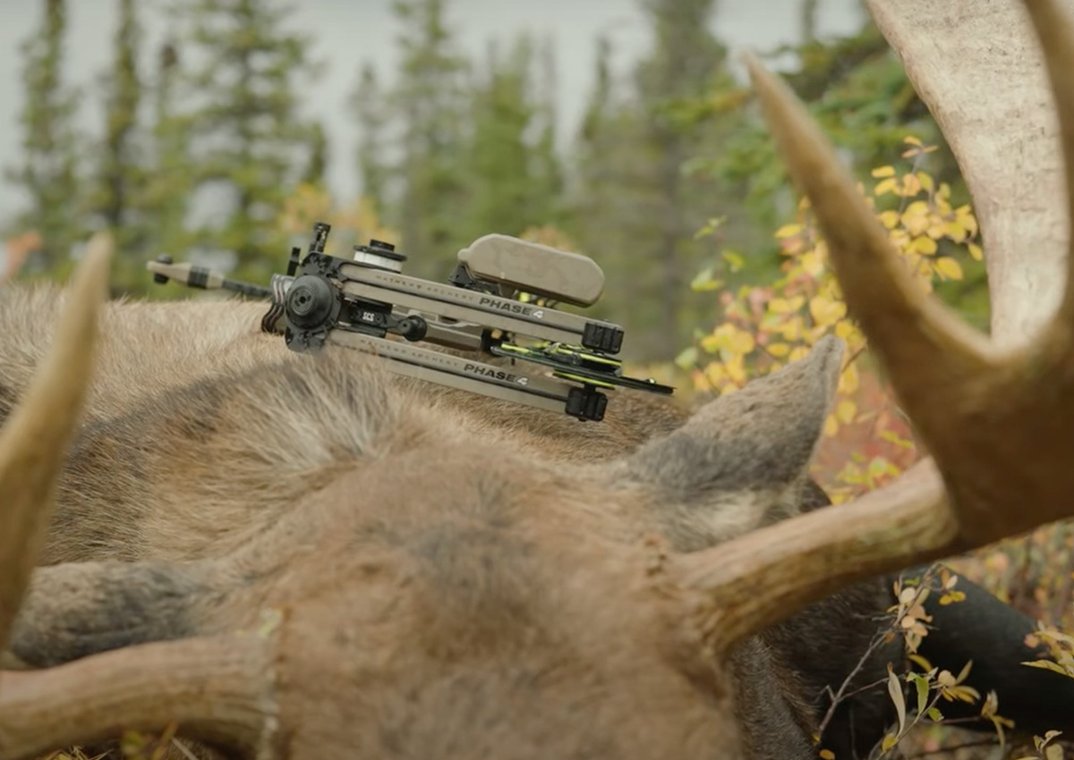 Mathews Phase 4 Tested and Reviewed