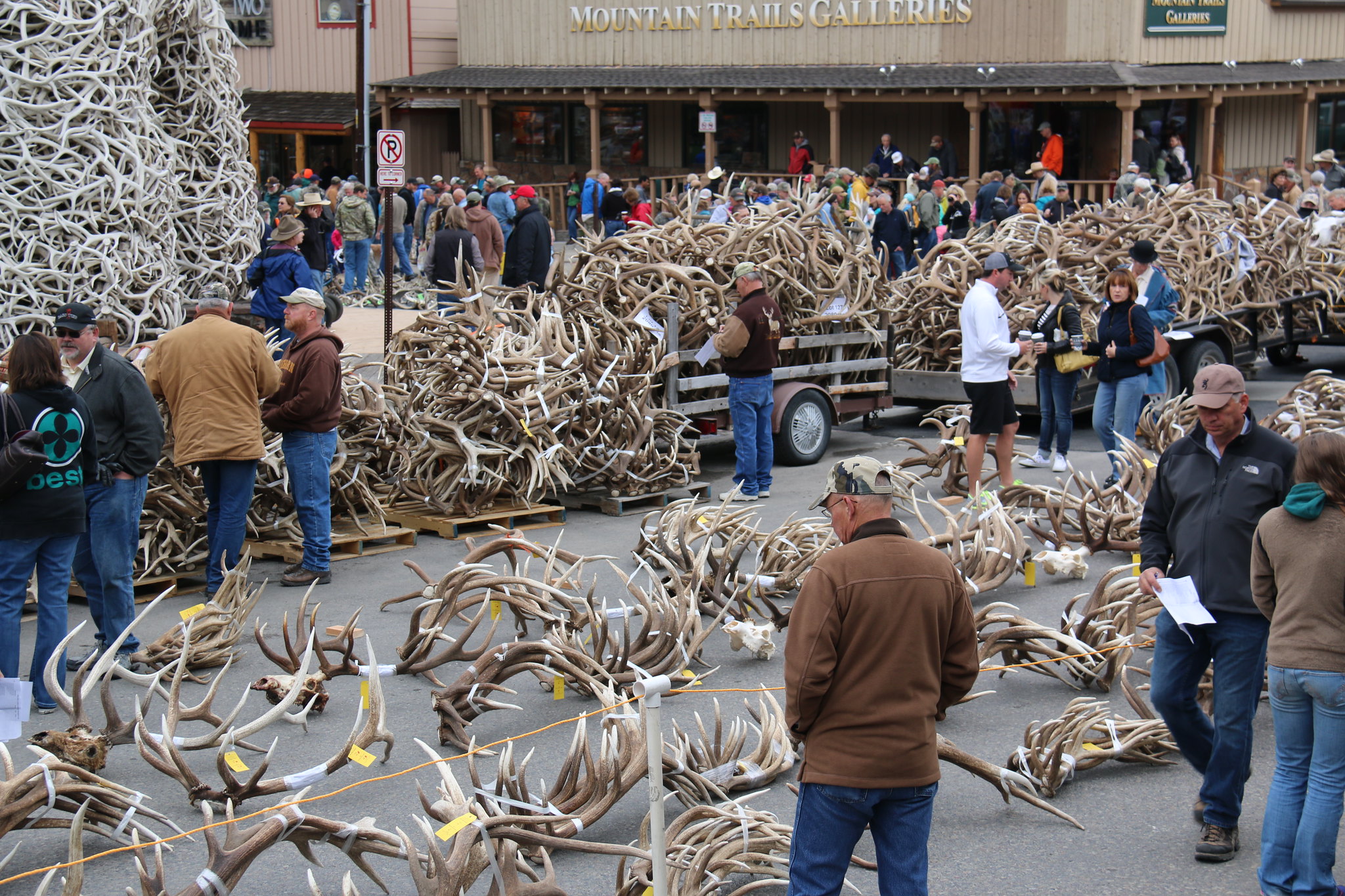 An antler auction in Wyoming.