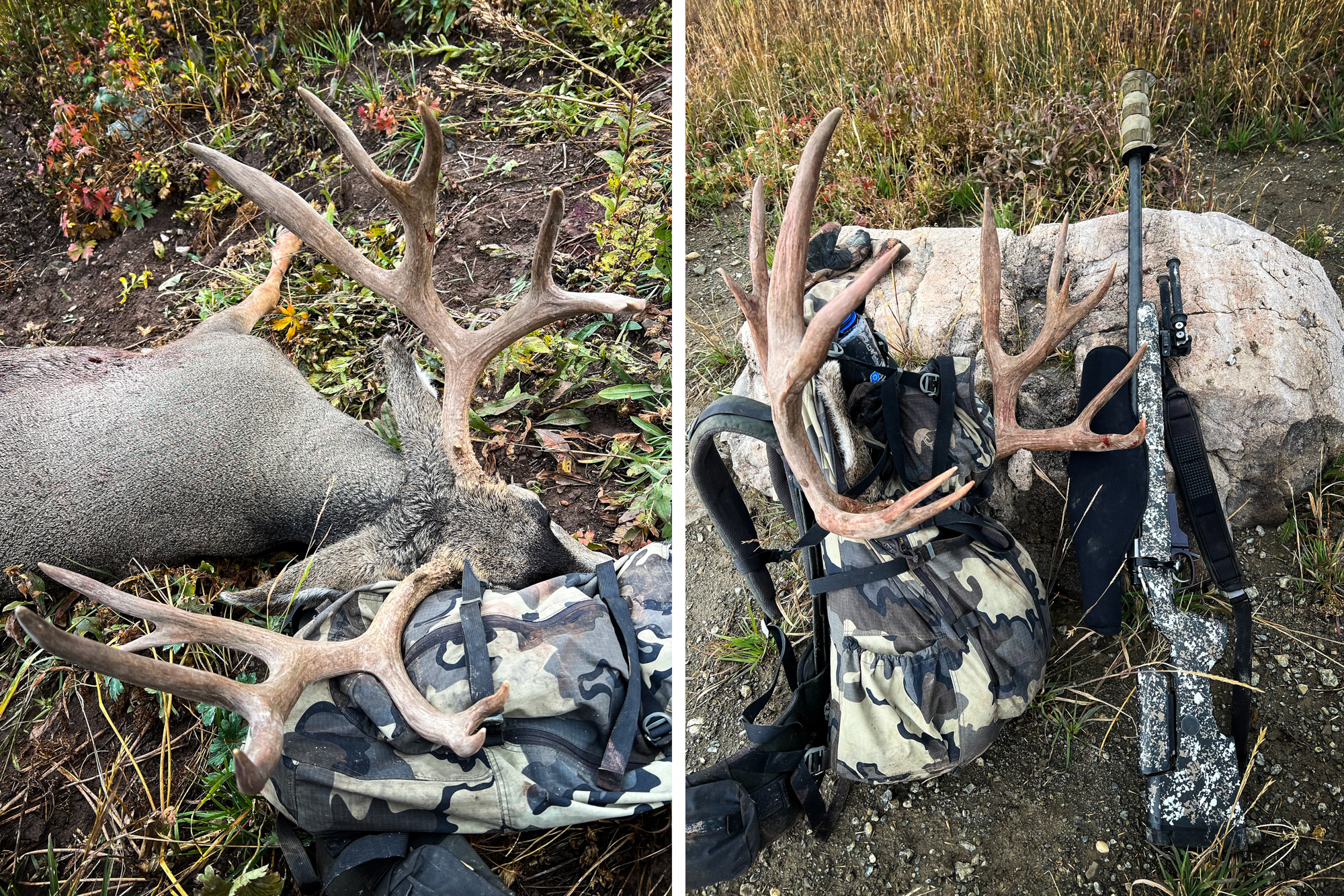 A Hoback mule deer rack that was stolen in Wyoming.