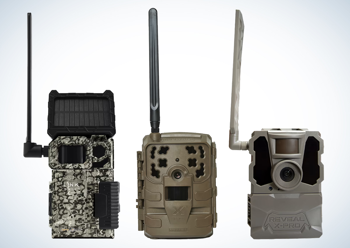 Trail cameras are on sale for Black Friday.