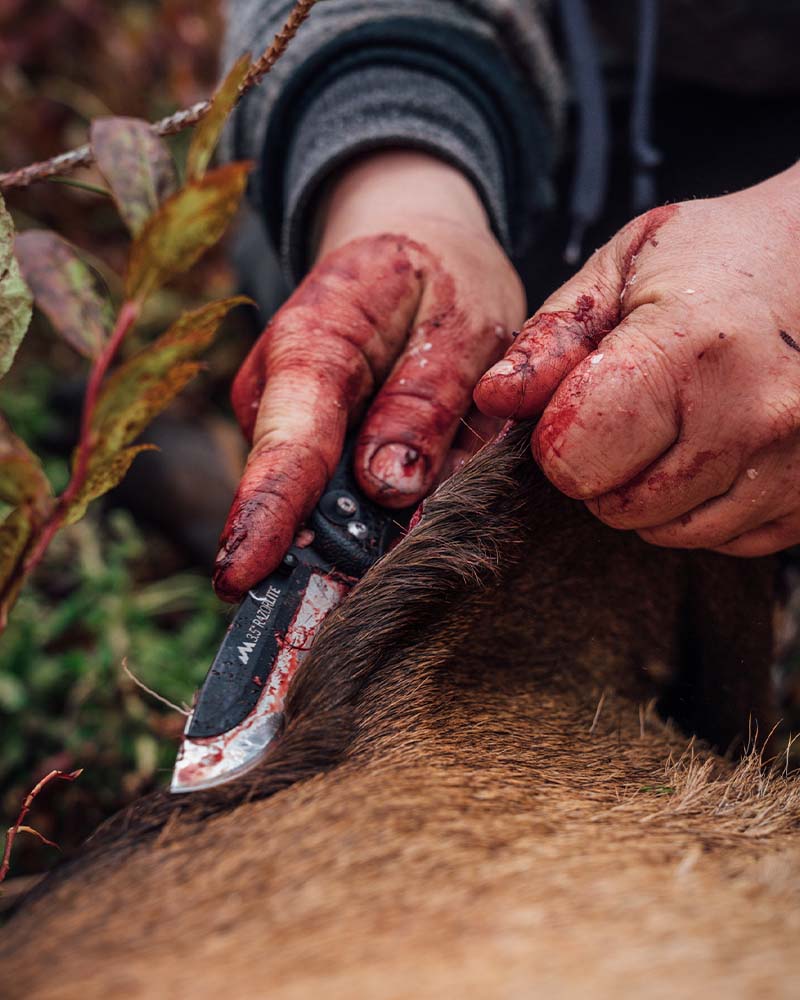 The Best Hunting Knives of 2022