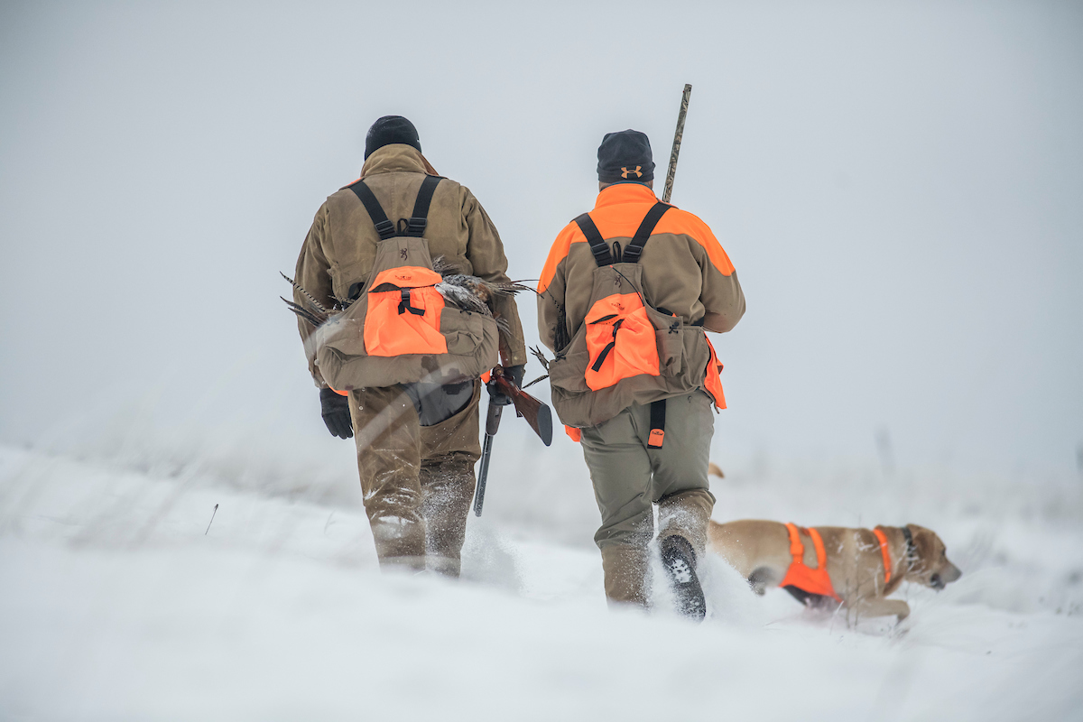 late season pheasant hunting