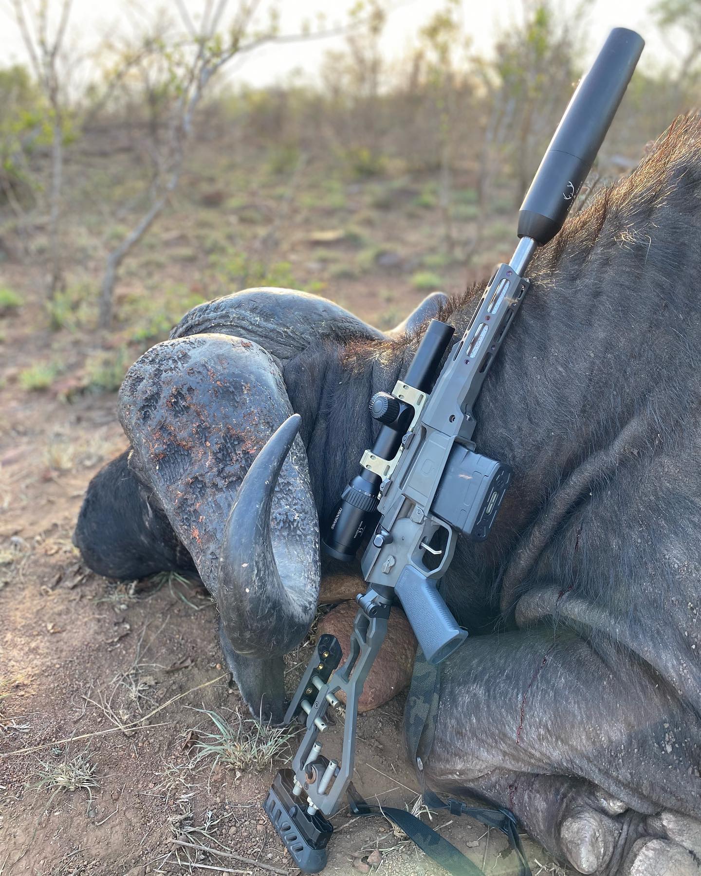 8.6 Blackout: Could It Be Your Next Whitetail Cartridge (or Cape Buffalo Load)?