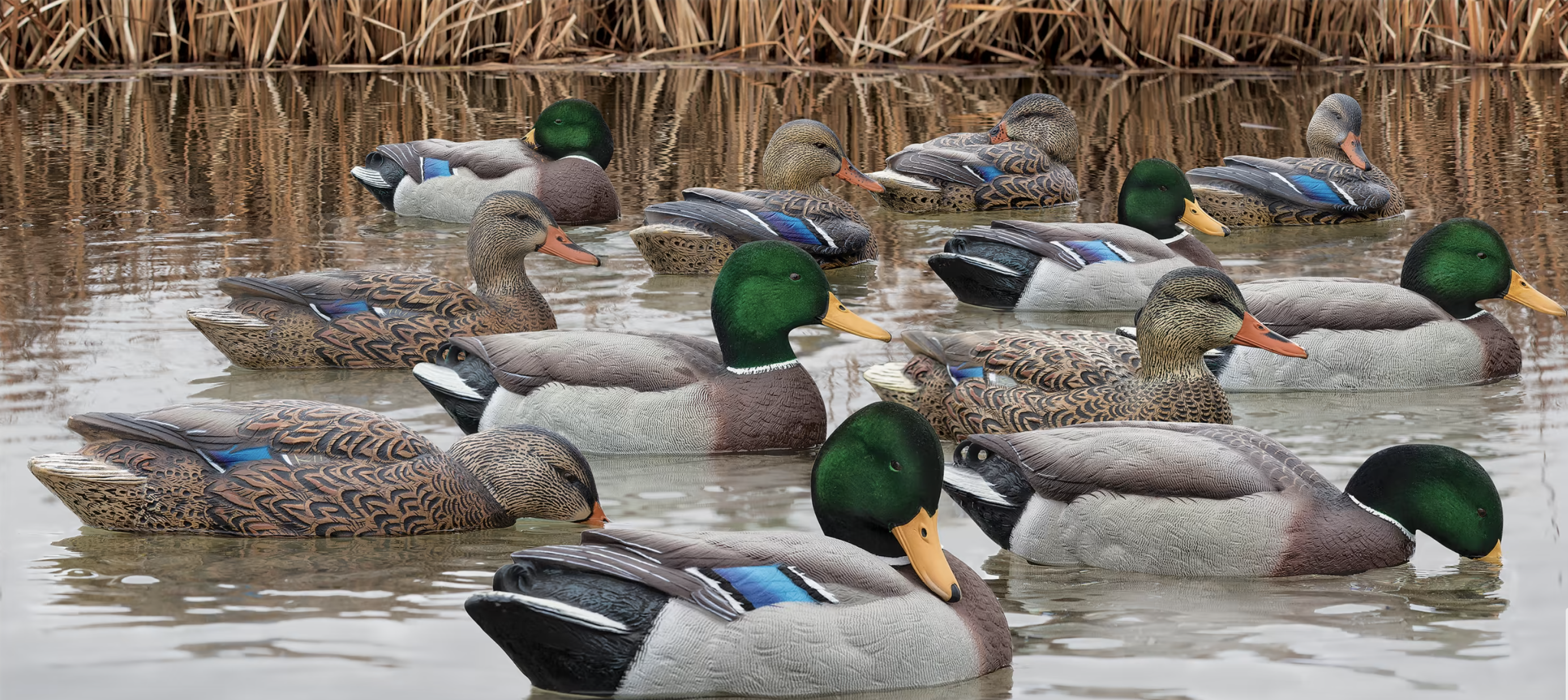 Duck and Goose Decoys Are On Sale at Cabela’s