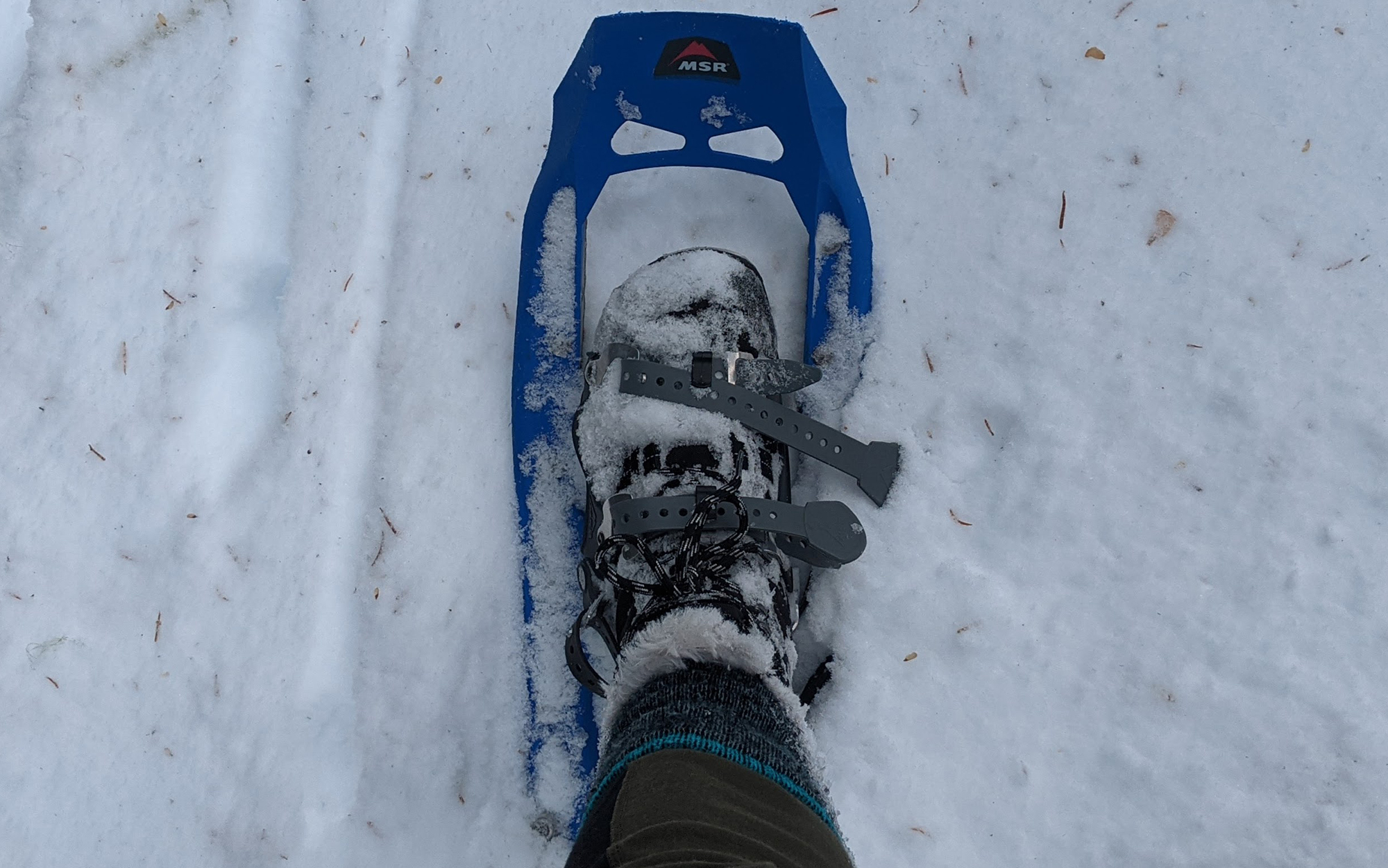 Hiker snowshoes wearing Xero hiking boots.