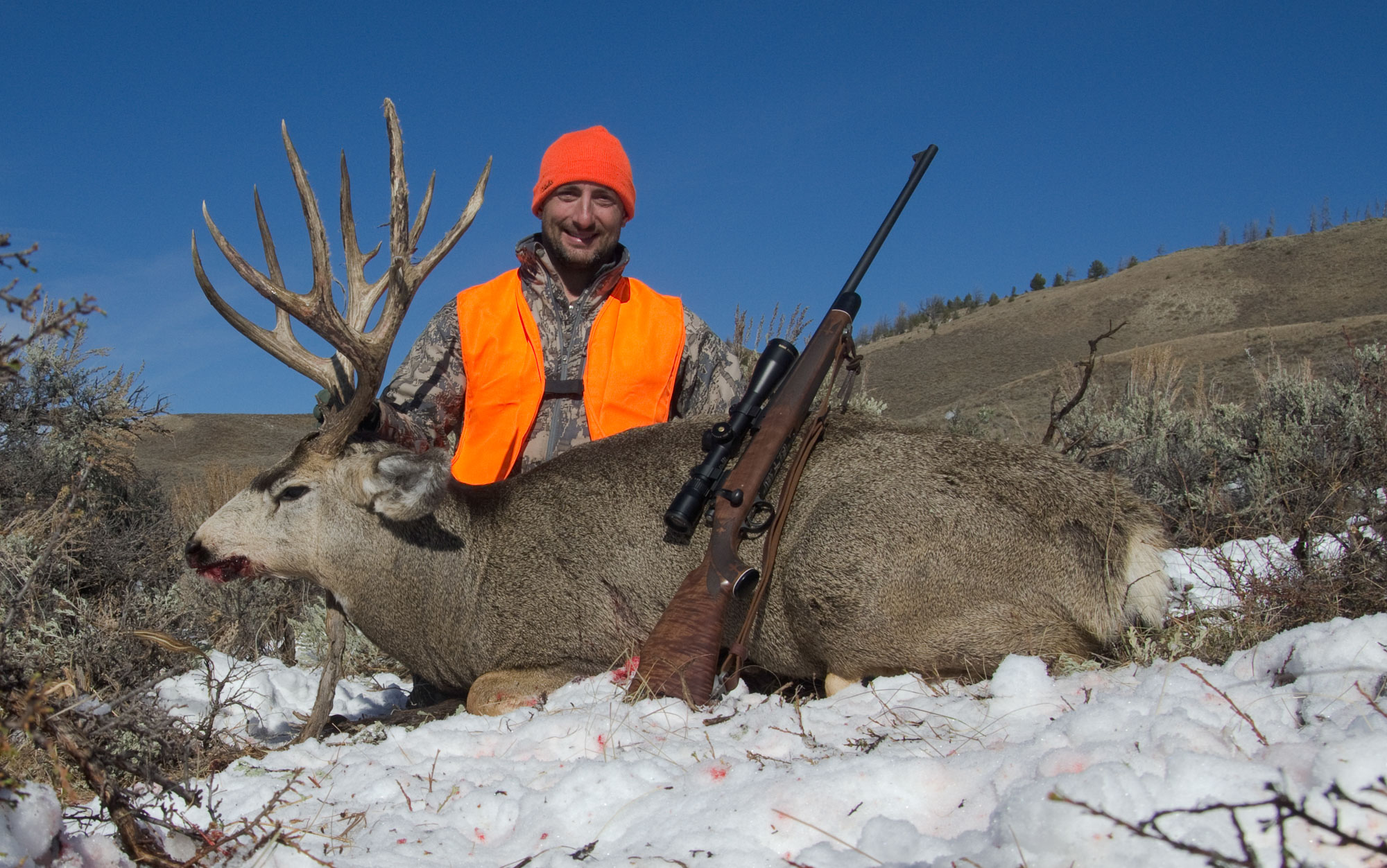 The author used a 7mm Rem. Mag. on this tall Colorado mule deer. 