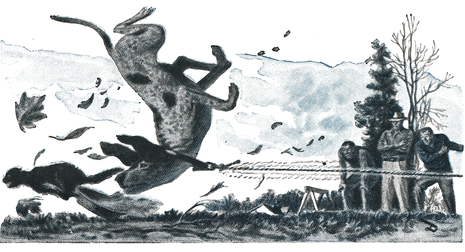 illustration of dog flipping over and chasing cat