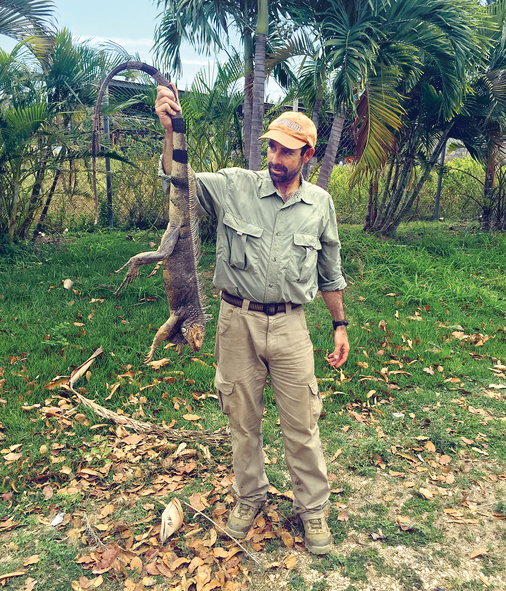 A hunter holding up an average iguana.
