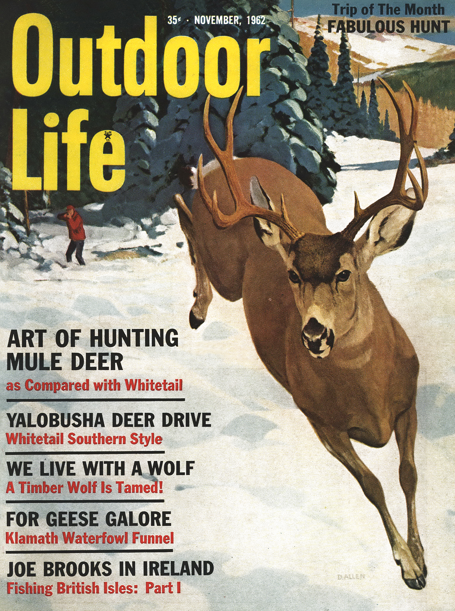 old magazine cover