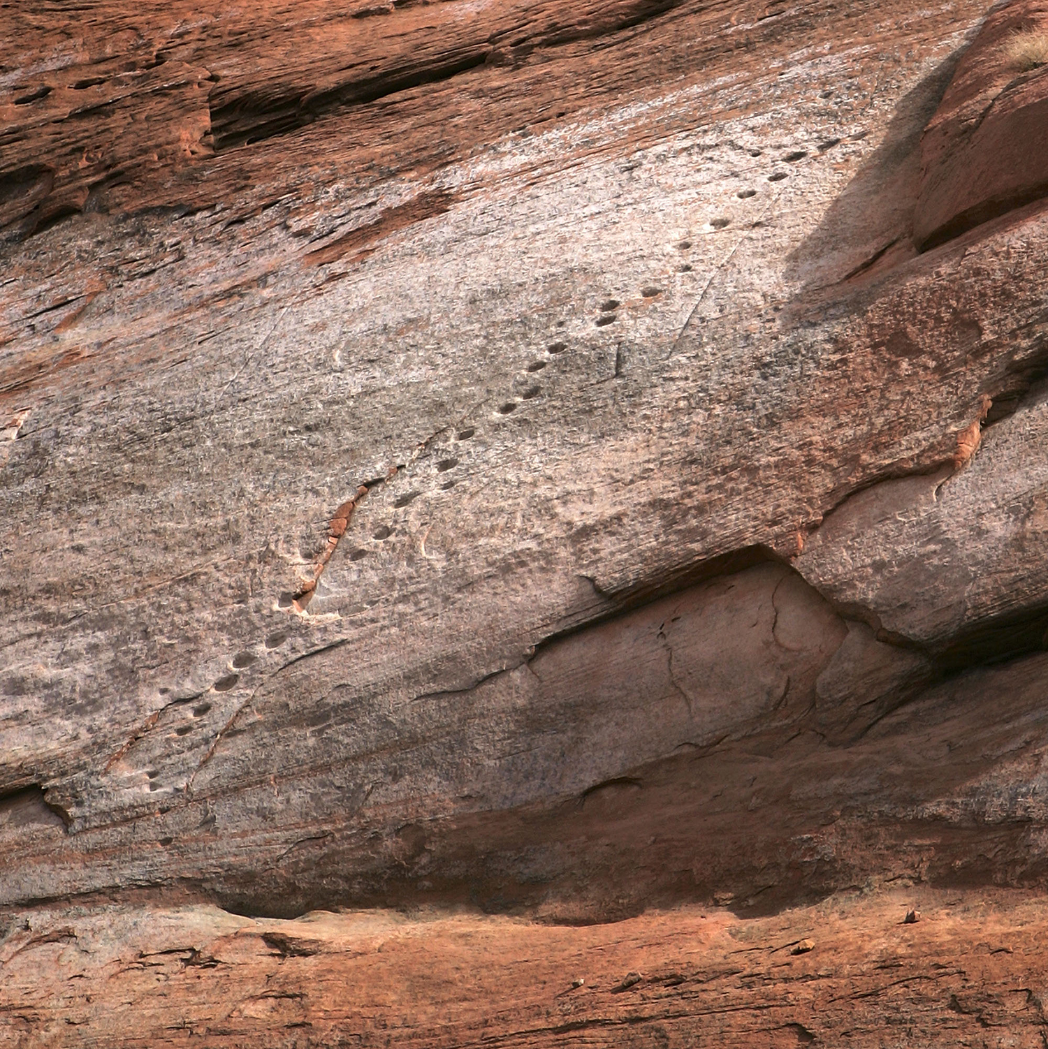 ladder carved into desert rock