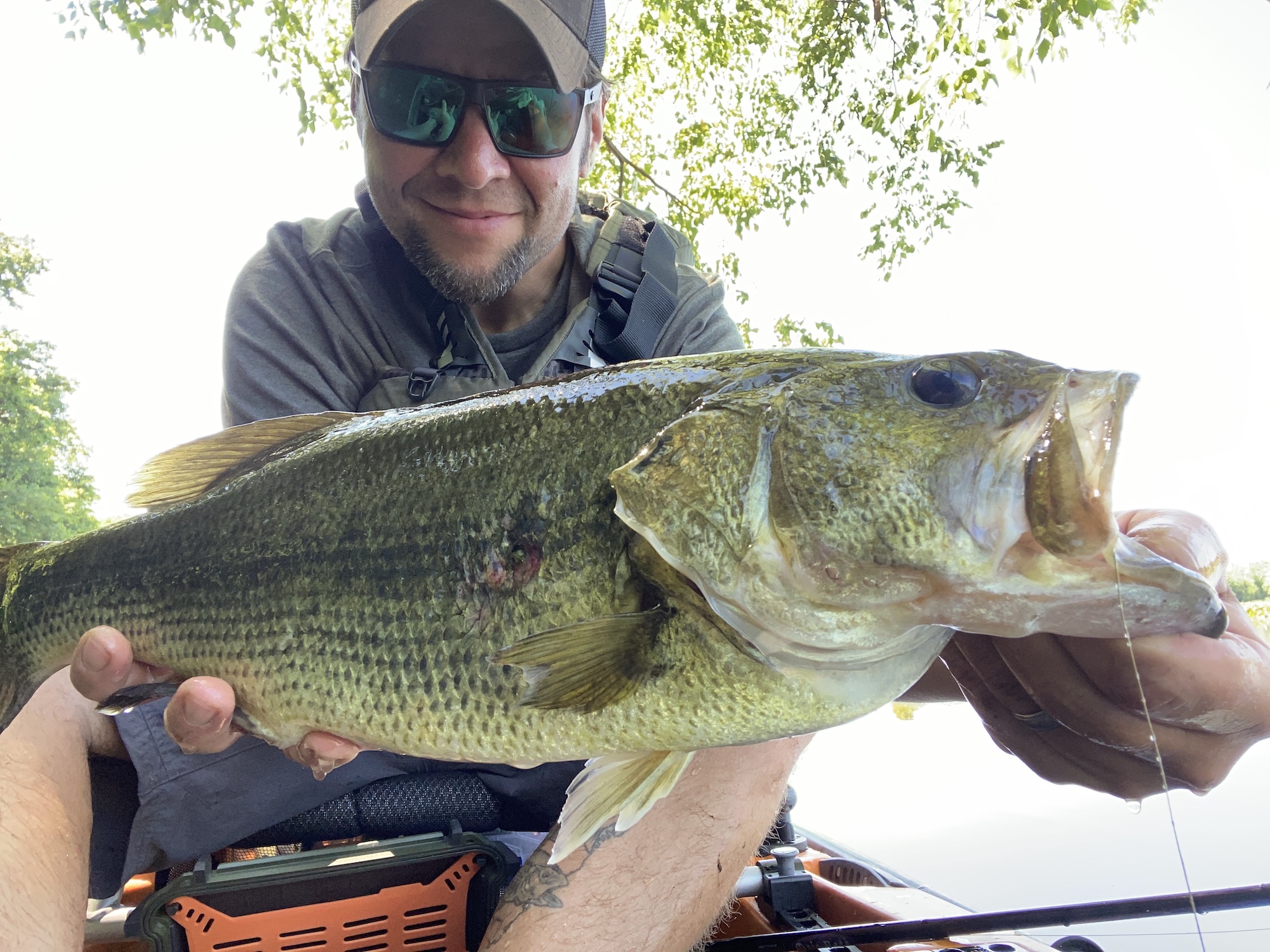 best bass fishing tips for beginners 2