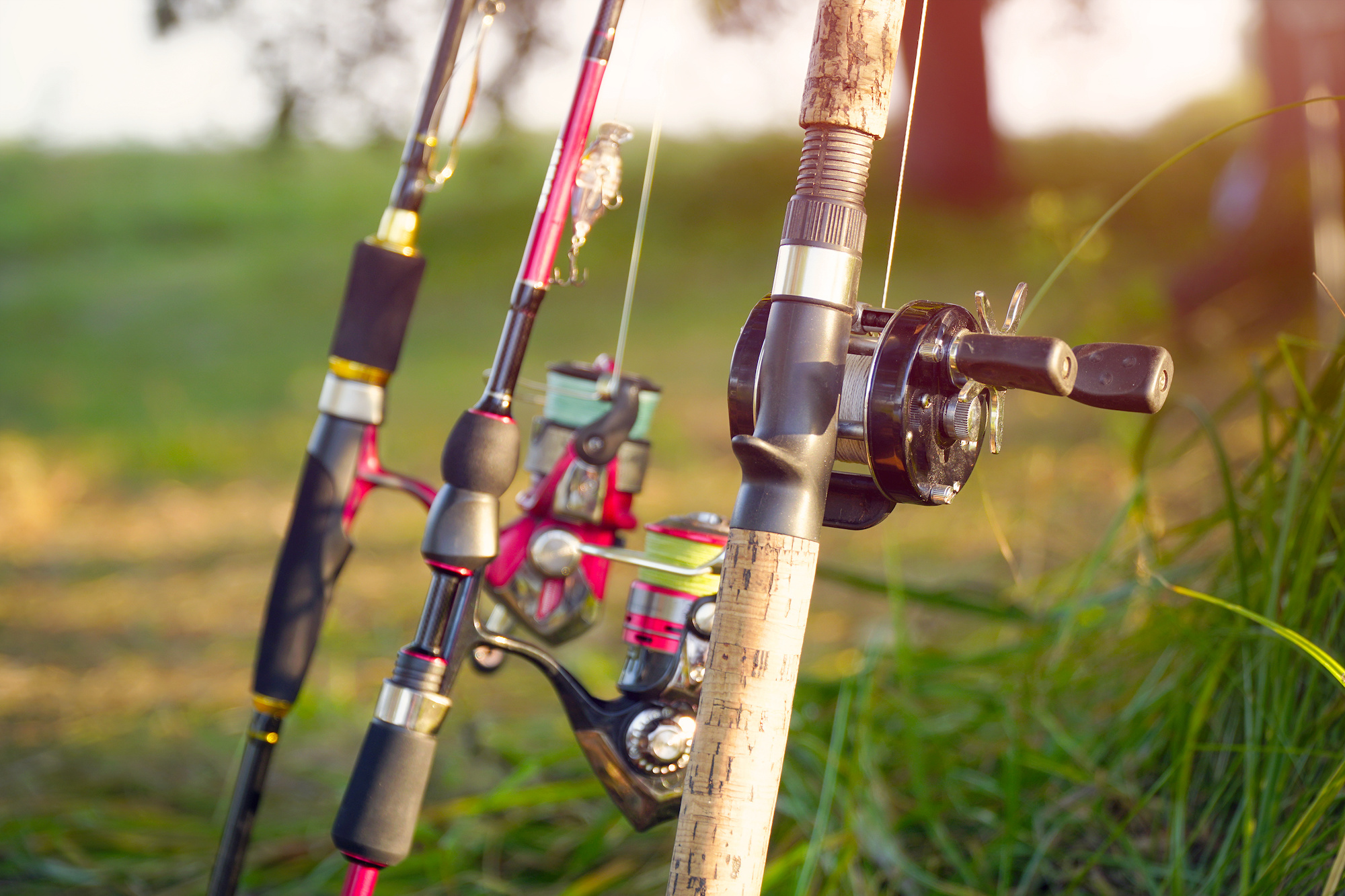 stock 1 best bass fishing tips beginners