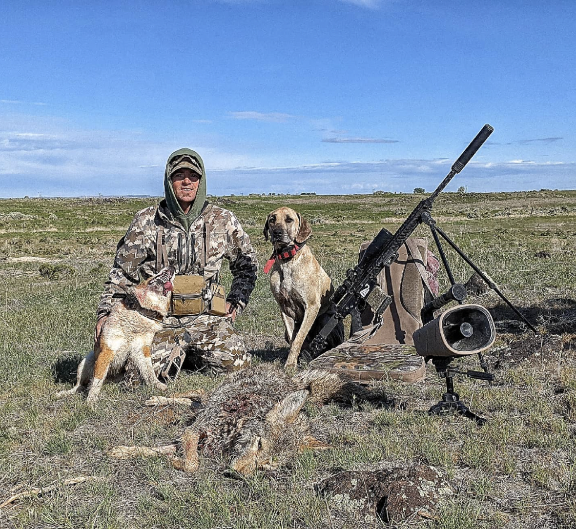 coyote hunting dogs 4