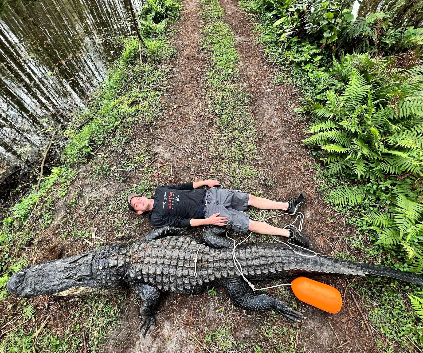 alligator twice his size 4