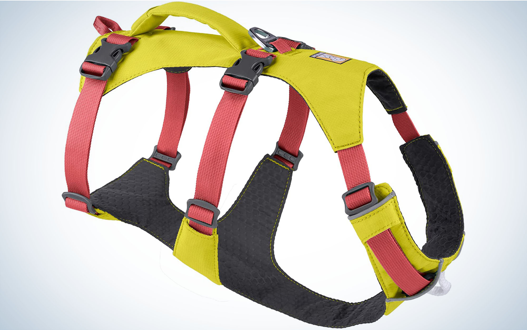The Ruffwear Flagline Dog Harness is best for mature dogs.