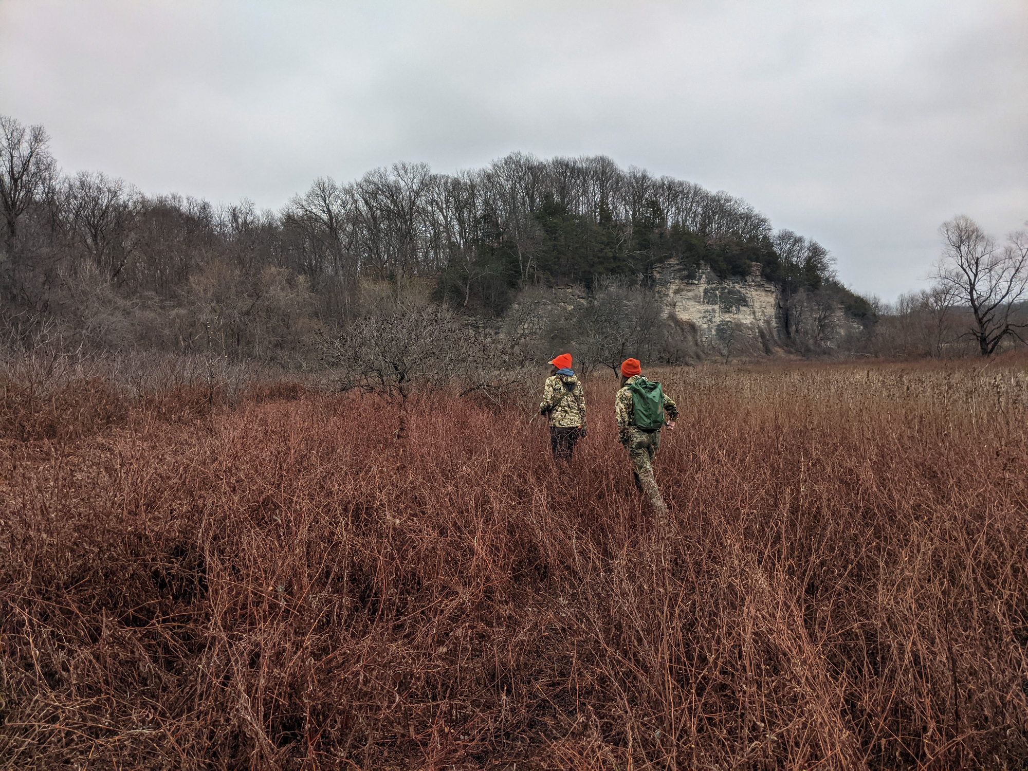 Two hunters in camo and blaze orange caps walk across a winter field.