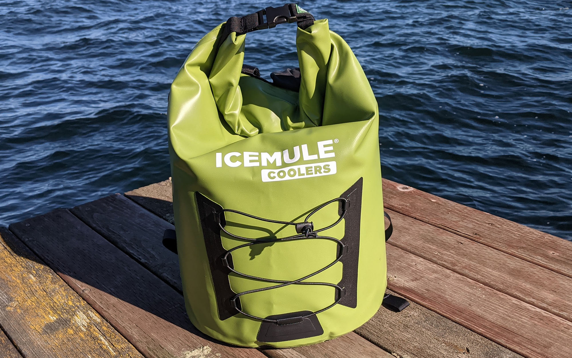 The Icemule Pro Large is the best value.