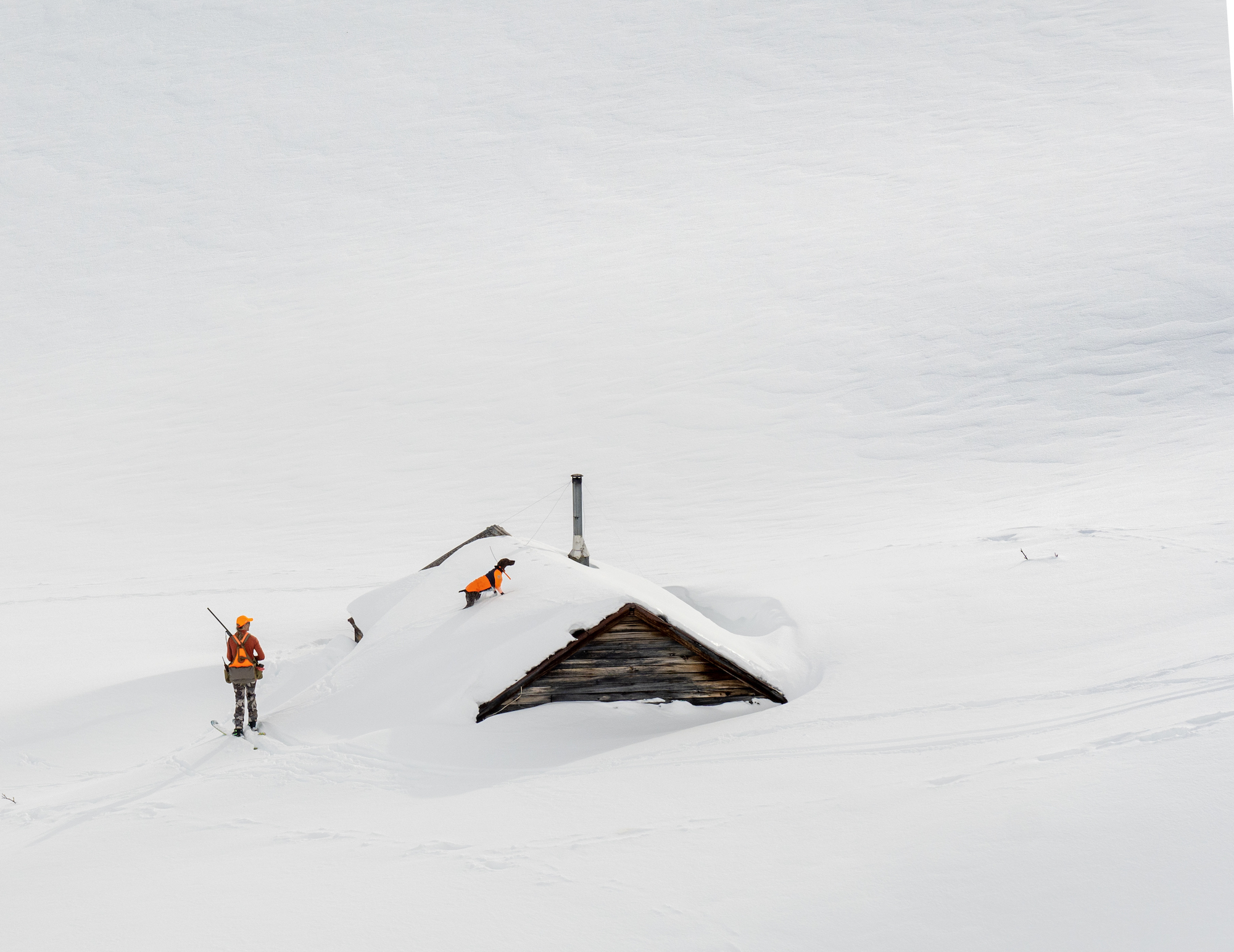 A hunter and her bird dog ski near a snowed-in mining building. 