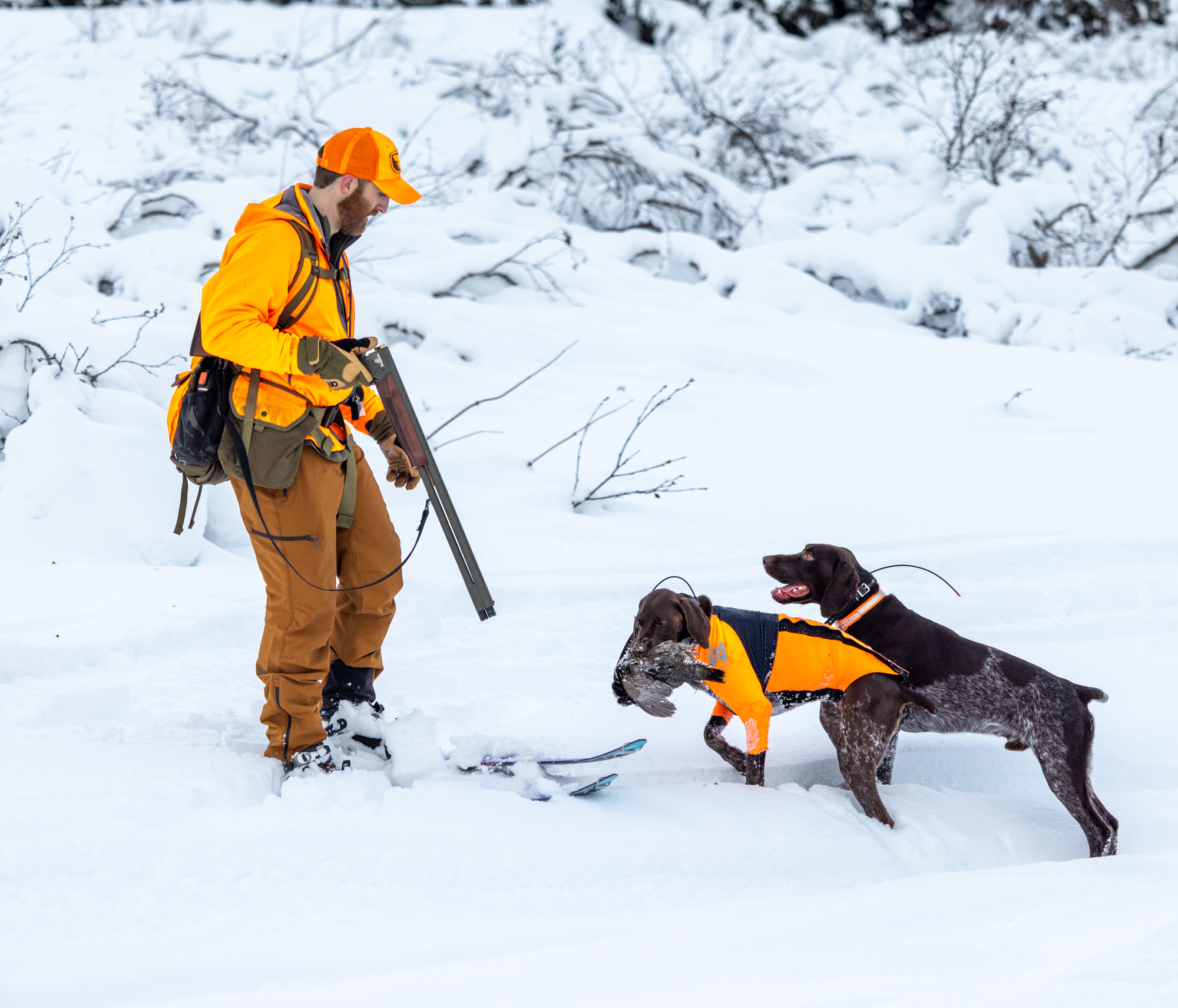 A hunter on skis reaches down for a bird that a dog is retrieving for him.