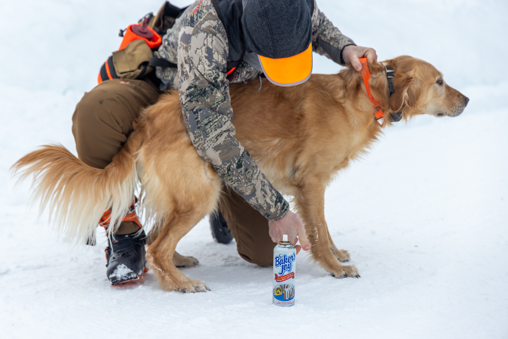 A hunter sprays baking spray on his dog's fur.