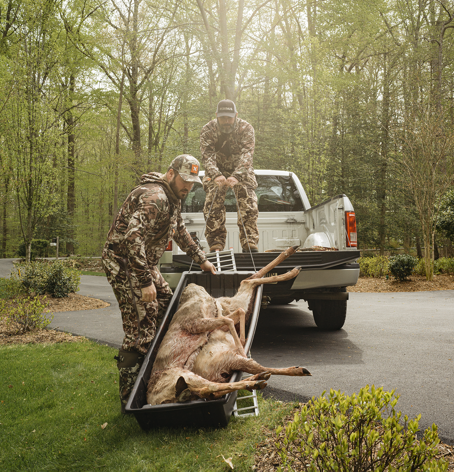two hunters haul deer onto truckbed