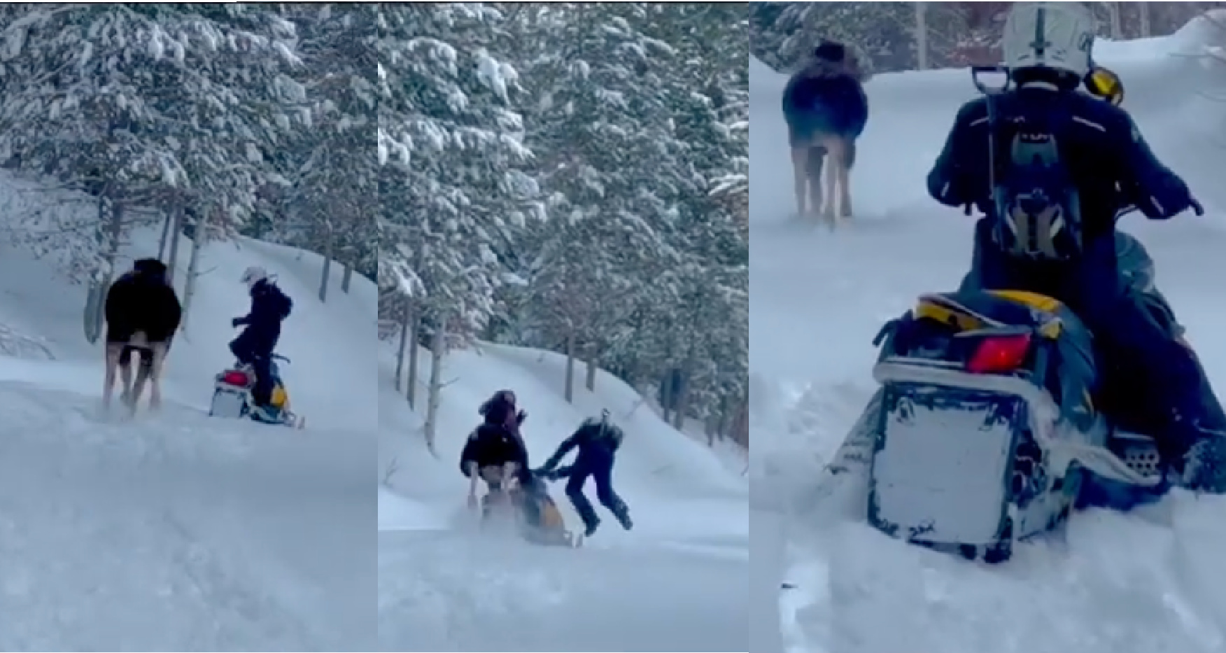 Watch: Idaho Moose Charges Snowmobiler and Trips Over His Sled
