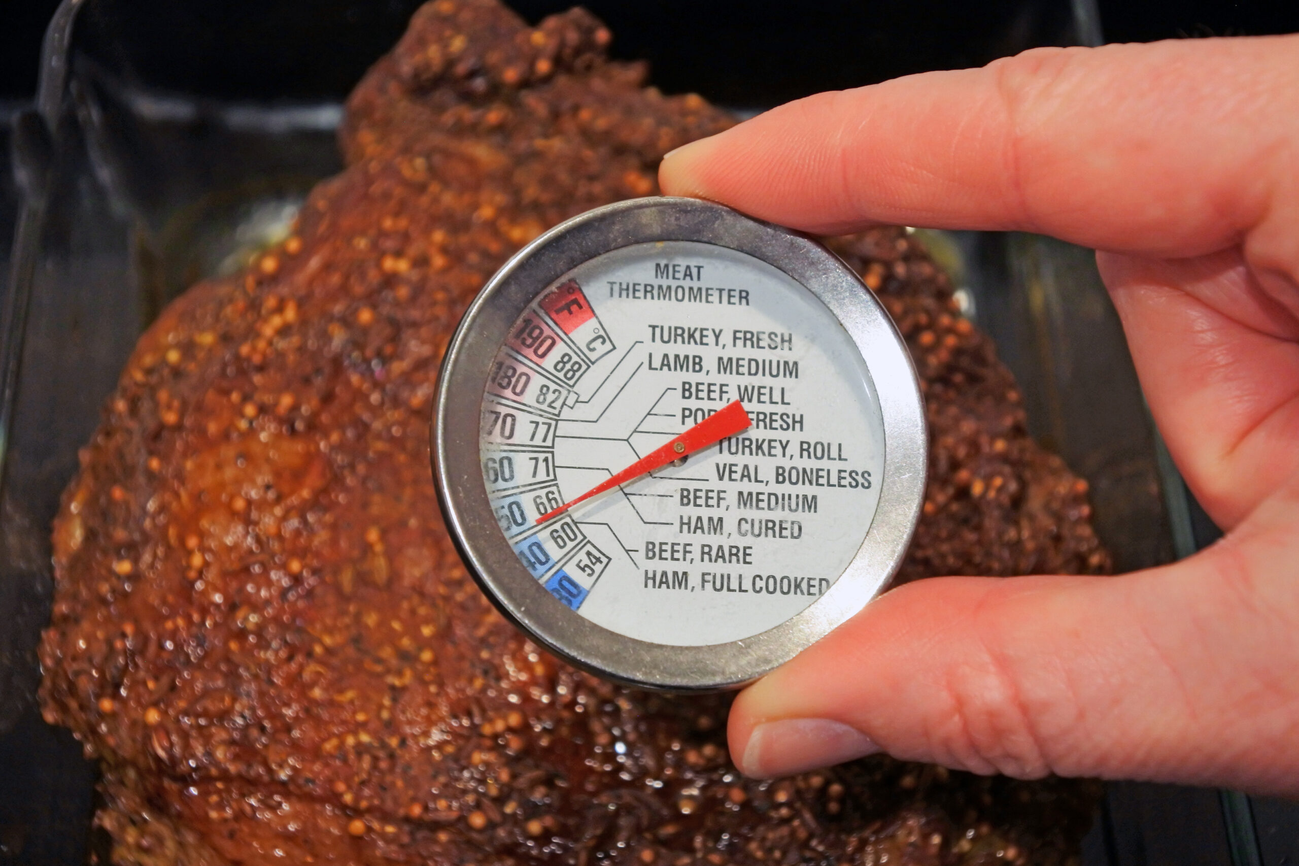 Checking the internal temp of venison with a meat thermometer.