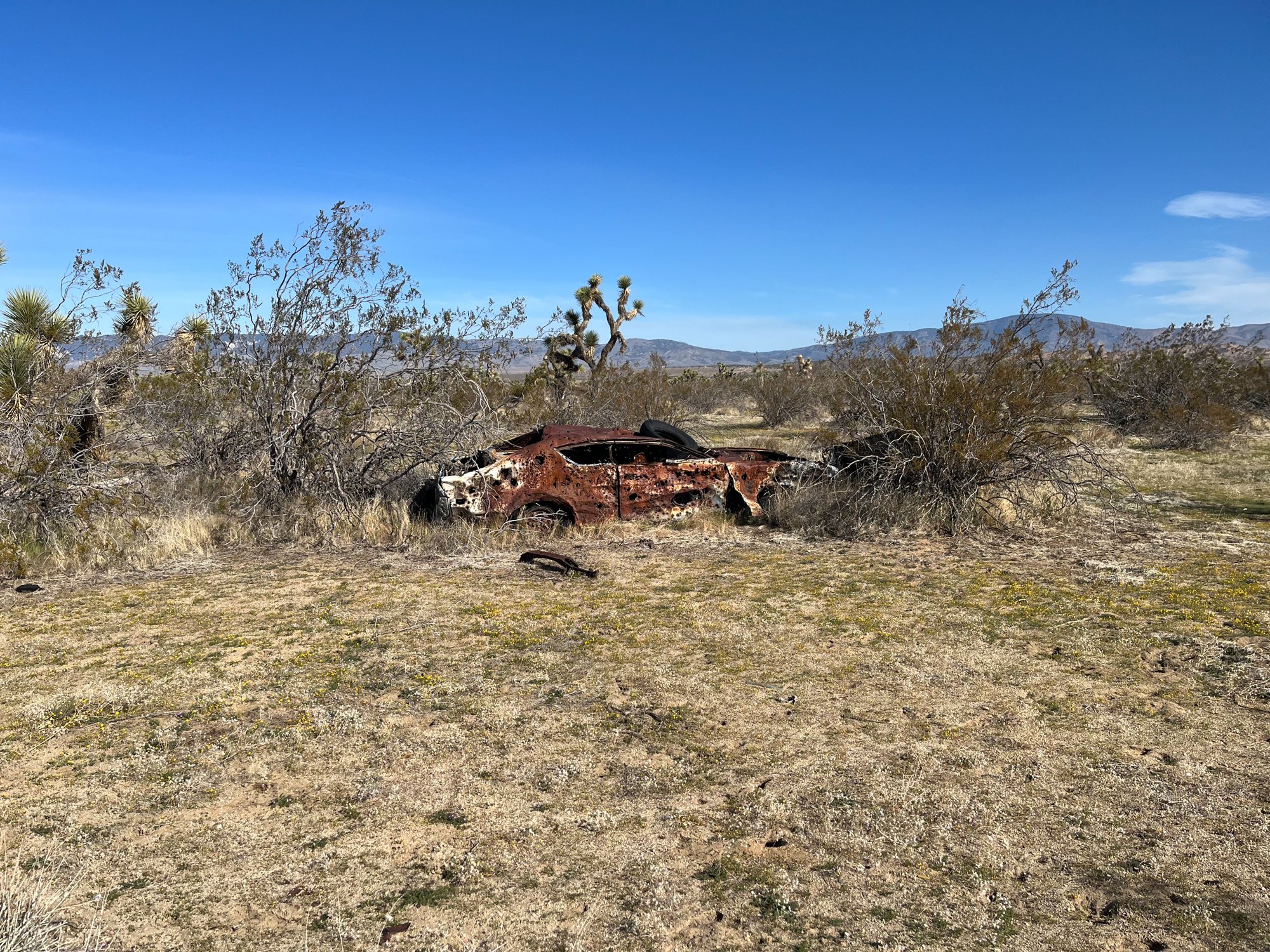 A rusted old car body in the brush of Antelope Valley.