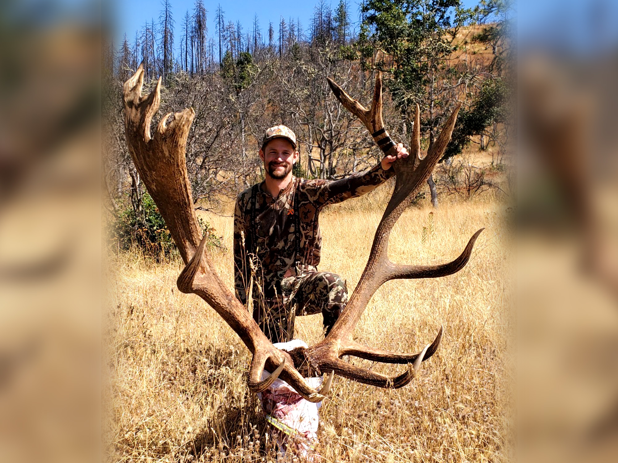 Oregon Bowhunter Arrows New State-Record Cascade Roosevelt Bull