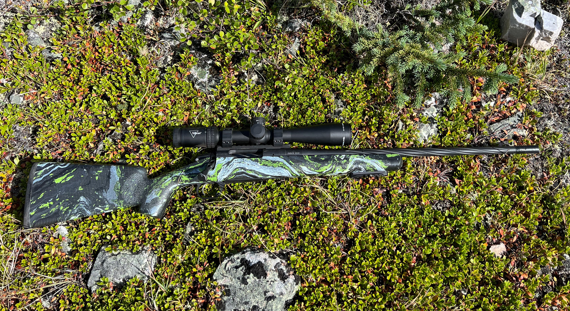 Hunting rifle on vegetation