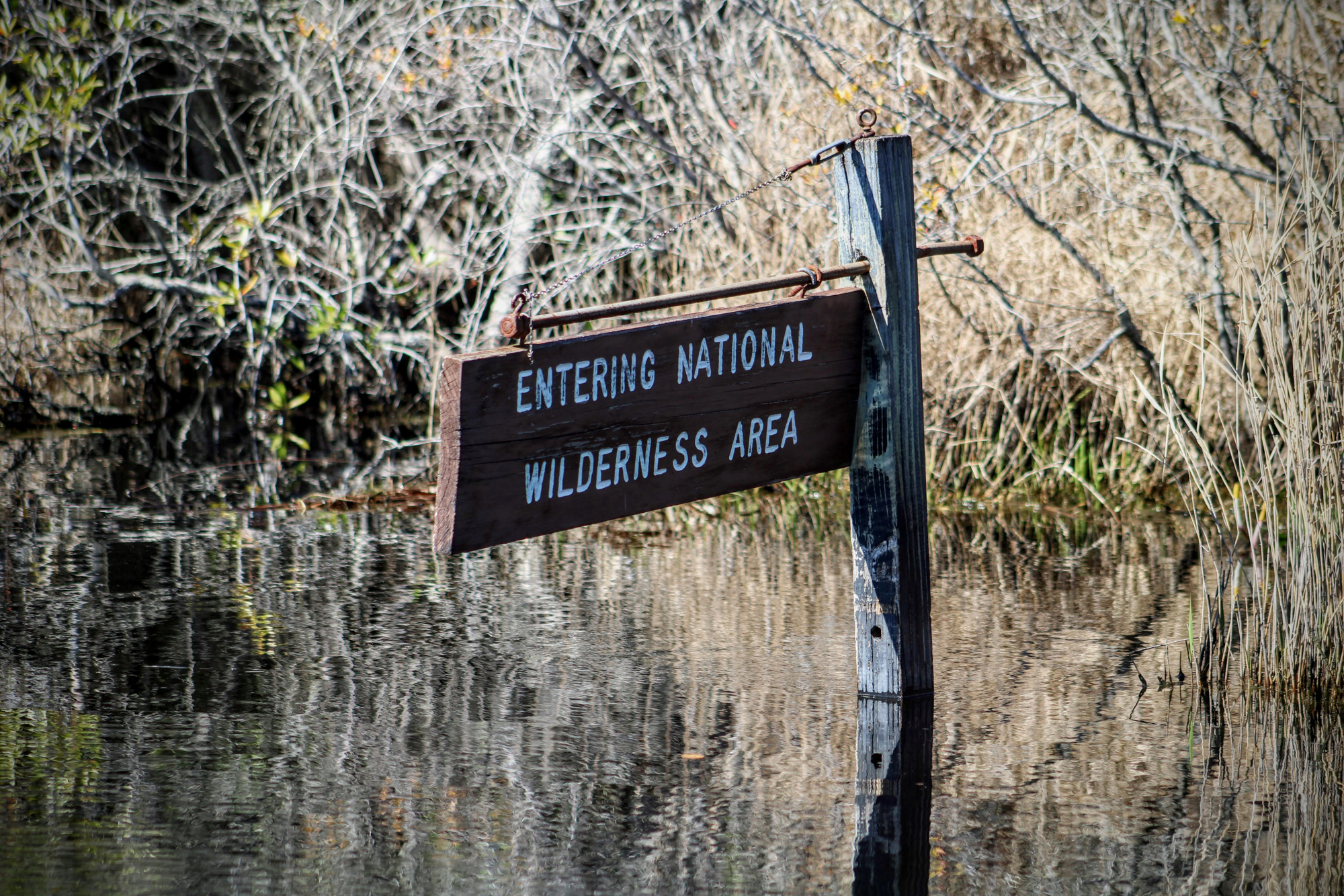 A wilderness sign in the okenfenokee swamp.