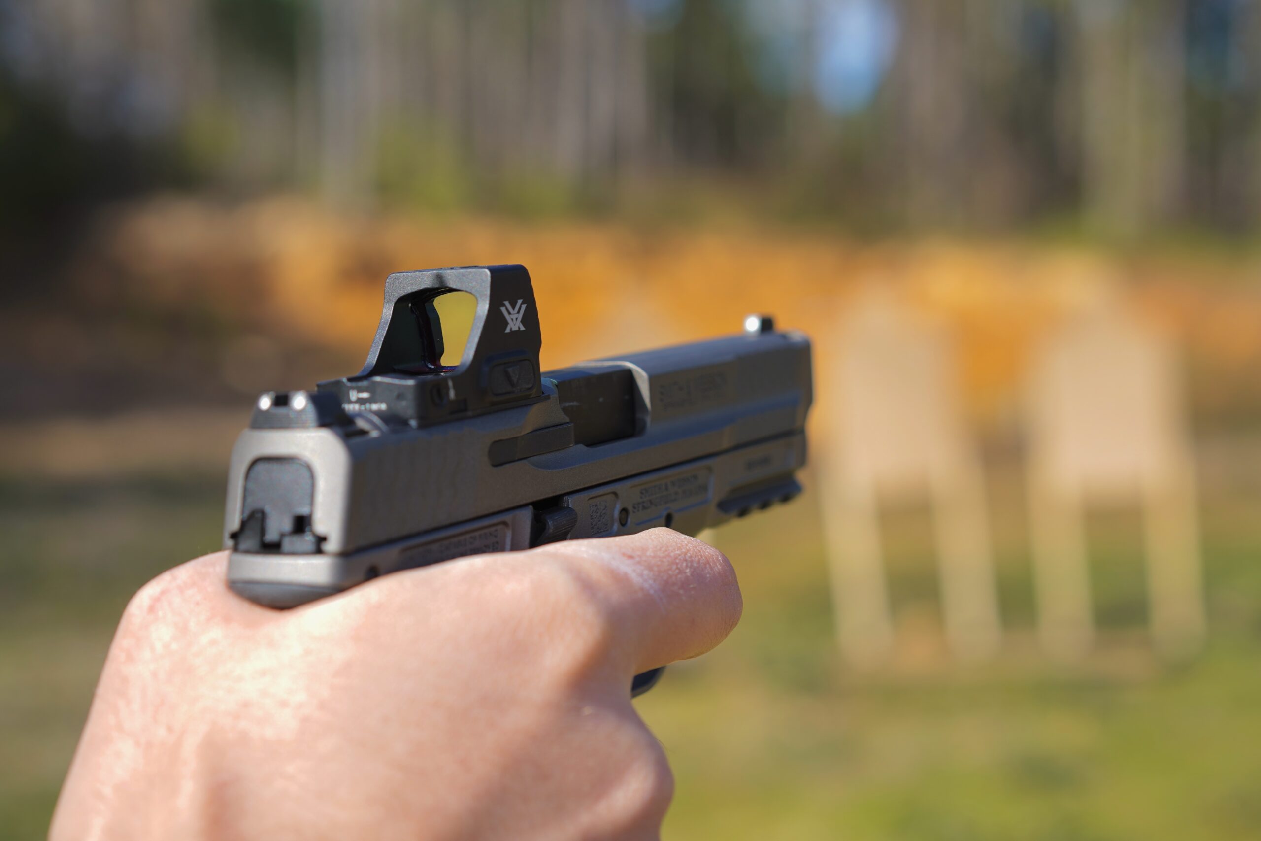 Handguns photo
